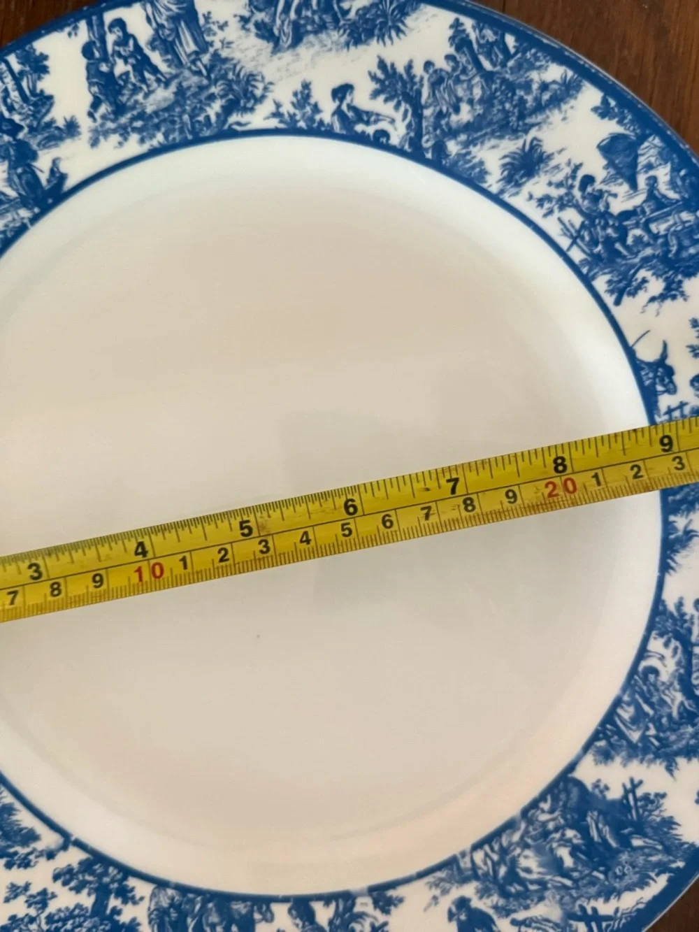 Waverly Country Life Blue Toile 10 Porcelain Dinner Plate